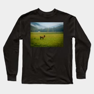 Elk in the Valley Long Sleeve T-Shirt